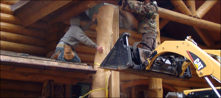 Log Home Log Replacement  Hopewell, Virginia