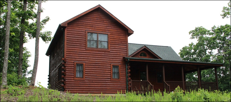 Professional Log Home Borate Application  Hopewell City, Virginia